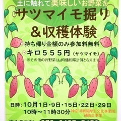 サツマイモ掘り＆収穫体験