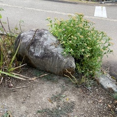 庭石プレゼント
