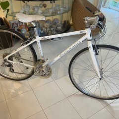COLNAGO Biscotti