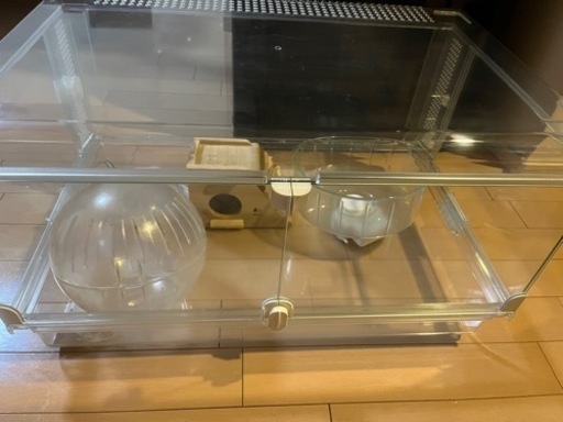 ハムスター　ゲージ　グラスハーモニー600プラス