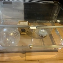 ハムスター　ゲージ　グラスハーモニー600プラス