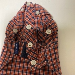 ペット用服の画像
