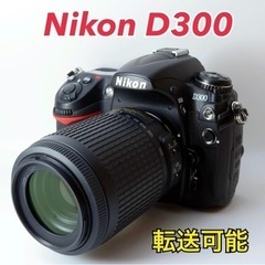 ☆Nikon D80☆S数約7400回○スマホ転送○高倍率レンズ○すぐ使える 1