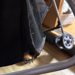 ベビーカー B型 コンパクト カゴ大容量の画像