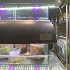 ADA ソーラーミニ、キューブガーデンミニMの画像