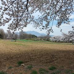 お家の草刈りします。 - 甲斐市