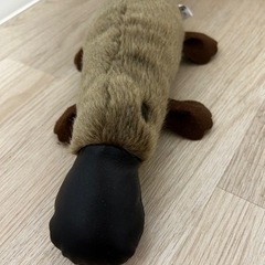 【値下げしました】カモノハシ