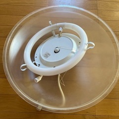 電気