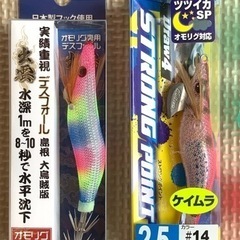 ★デスフォール出雲 レインボー、Draw4 ストロングポイント★エギキャップの画像