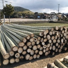 竹に関するお仕事　スタッフ募集中