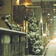 カメラを持って遊びに行きましょう📸 − 東京都