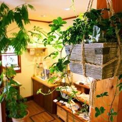 【週払い】＜短時間OK・平日のみ・土日祝のみも相談可能♪＞雑貨店...