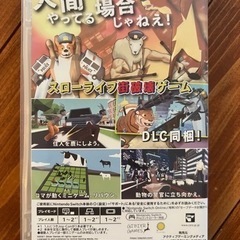 決定！Switchカセット　オデッセイとつりスピ