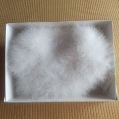 フェザーショール。の画像