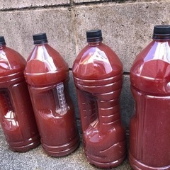 PSB光合成細菌