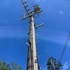 電柱の画像