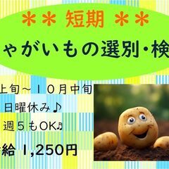 ○短期●高時給●日曜休○じゃがいもの選別・検査＜上湧別＞