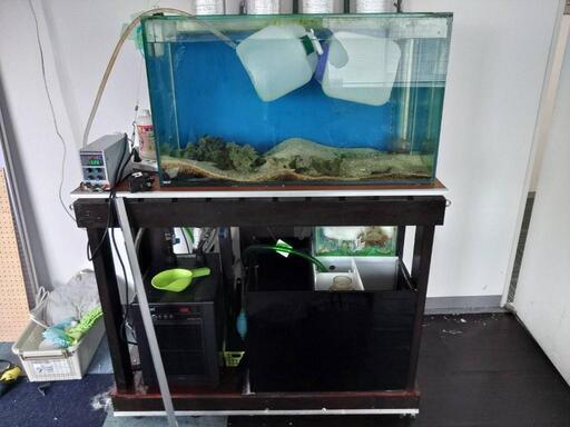 オーバーフロー水槽