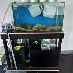 オーバーフロー水槽