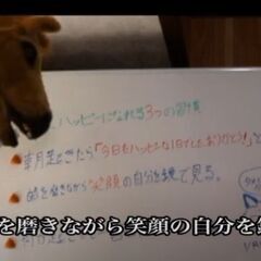 学校では教えてくれない大切なこと　系や道徳系の授業動画一緒に撮りませんか？ - 八代市