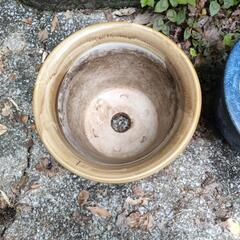 大型陶器製植木鉢⑦ ベージュ系 ガーデニングに🌸の画像