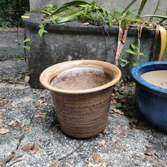 大型陶器製植木鉢⑦ ベージュ系 ガーデニングに🌸の画像