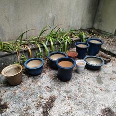 大型陶器製植木鉢⑩ 藍色 ガーデニングに🌸の画像