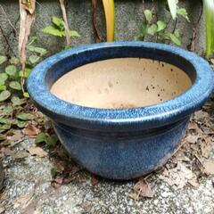 大型陶器製植木鉢⑩ 藍色 ガーデニングに🌸