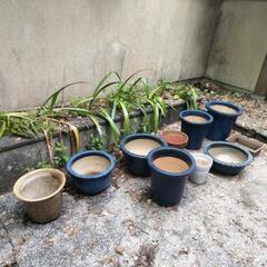 大型陶器製植木鉢④ 濃紺 ガーデニングに🌸の画像