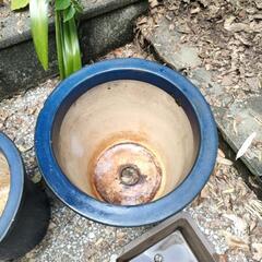 大型陶器製植木鉢④ 濃紺 ガーデニングに🌸の画像
