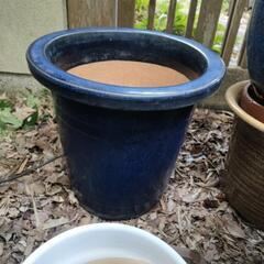 大型陶器製植木鉢③ 濃紺 ガーデニングに🌸