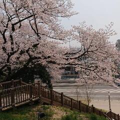 中部限定雑談グル
