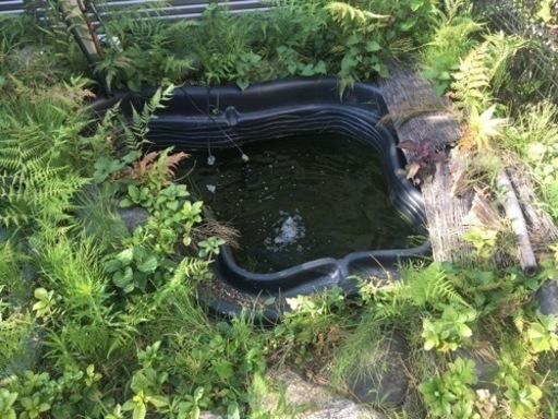 ひょうたん池 フィルターや濾過材付き　特大　その２