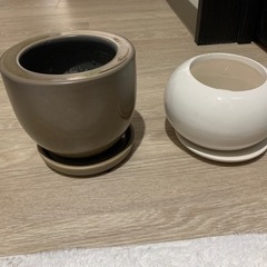園芸セットの画像