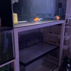 値下げ1200×600×450 水槽セット
