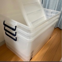 なぎ様に決定！アイリスオーヤマ特大　収納3個セット