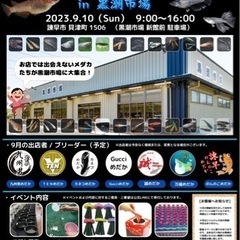 長崎めだかフェス2023 the final メダカ掬い めだか...