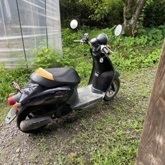 通勤用にどうですか？『相手が見つかりまたので』の画像