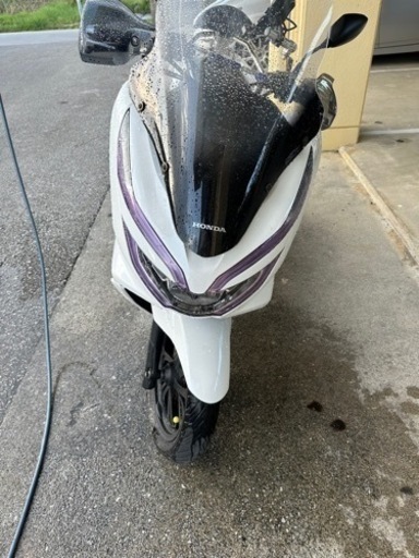 pcx jf81、