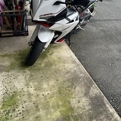 cbr250rr白
