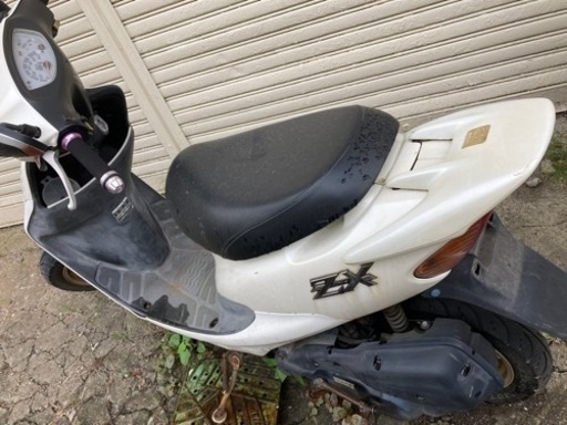 ライブDIO パールホワイト 人気・おすすめ｜売れ筋商品・話題商品におすすめ コスパ重視 安心配送 国内発送・正規流通商品