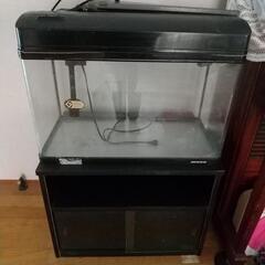 【ニッソー ガラス水槽　60cm】魚、昆虫、植物等の飼育に。