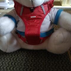 中型犬ハーネスです。の画像