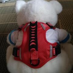 中型犬ハーネスです。の画像