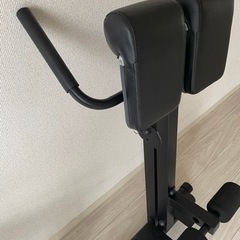 トレーニングベンチ　LEADING EDGE の画像