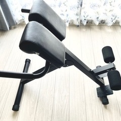 トレーニングベンチ　LEADING EDGE の画像