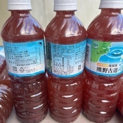 めだか メダカ PSB