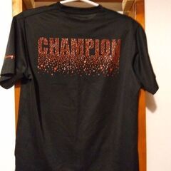 Champion Ｔシャツ　Ｍサイズの画像
