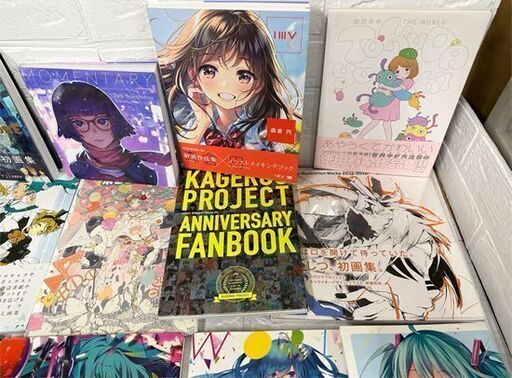 りゅーせーアートブック 森倉円 ぼかたま しづイラストレーション ボカロ 画集 作品集 イラスト集 他 14冊セット  札幌市白石区 