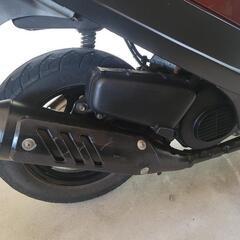 スズキセピア(初期型)の画像